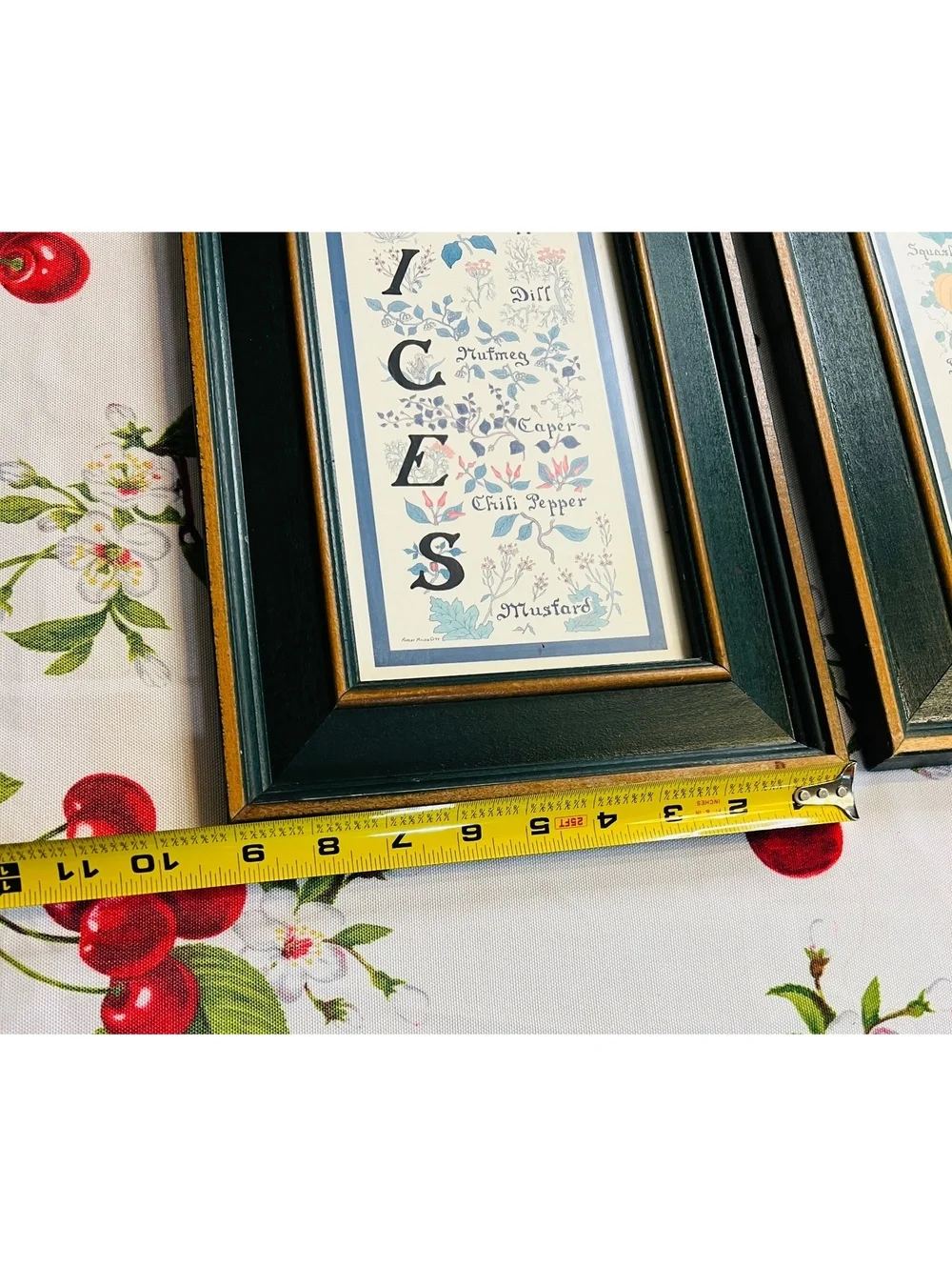 Vintage Framed Spices and Vegetables Botanical Prints Set of 2, 9x16.5 Inches